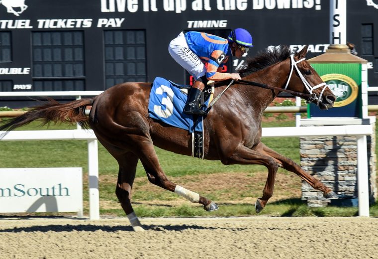 Zany - SV Photography - Tampa Bay Downs