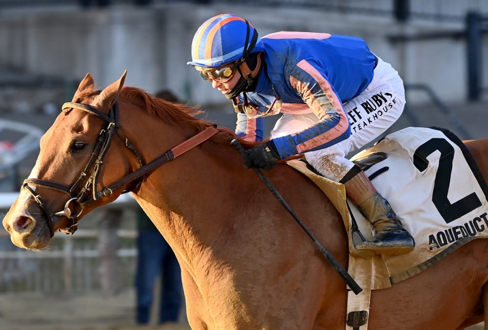 Paladin - Angelo Lieto - Coglianese Photo