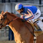 Paladin - Angelo Lieto - Coglianese Photo