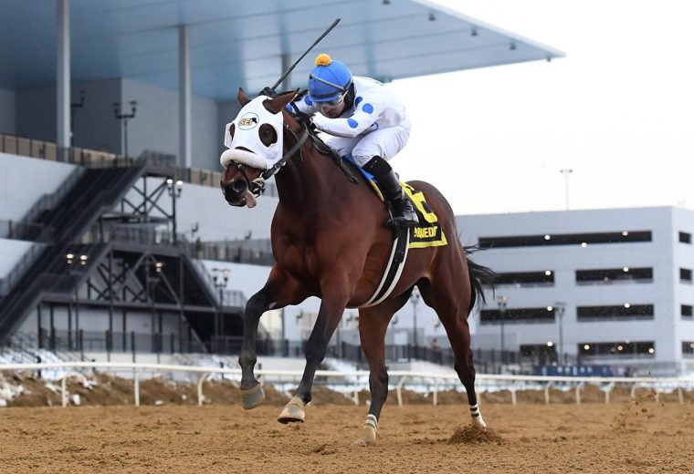 Talk to Me Jimmy - Withers - Coglianese Photo NY
