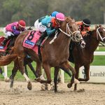 The Puma – Tampa Bay Derby G3 - SV Photography - Tampa Bay Downs