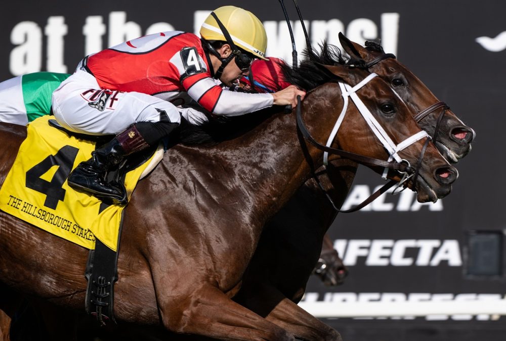 Destino d'Oro y Junior Alvarado - SV Photography - Tampa Bay Downs