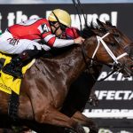 Destino d'Oro y Junior Alvarado - SV Photography - Tampa Bay Downs