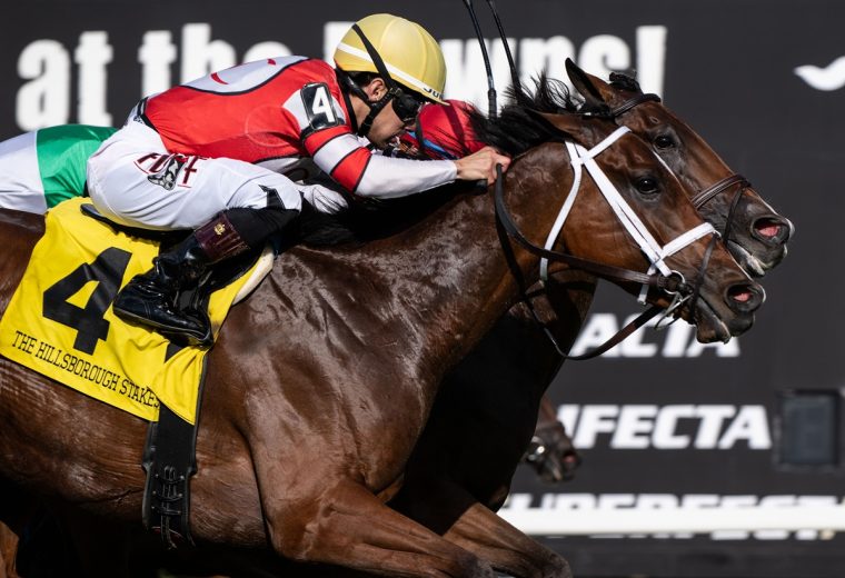 Destino d'Oro y Junior Alvarado - SV Photography - Tampa Bay Downs