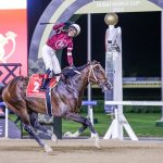 Magnitude – Dubai World Cup – Dubai Racing Media