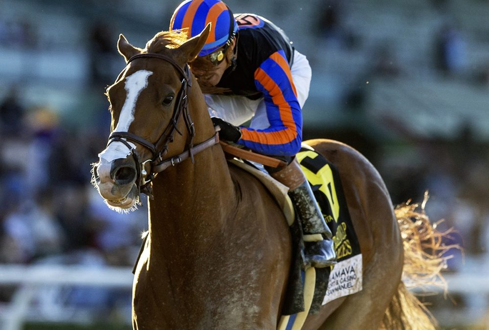 British Isles - Grade I, $300,000 Santa Anita Handicap - © BENOIT PHOTO