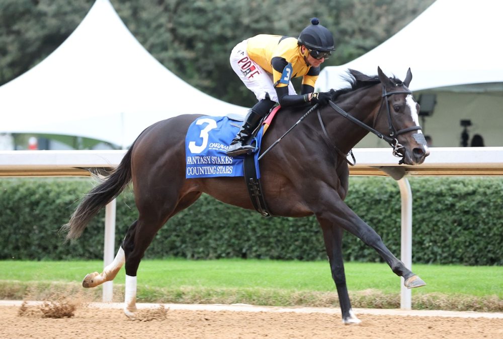 COUNTING STARS – The Fantasy Stakes G2 – Kurtis Coady – Coady Media