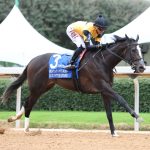 COUNTING STARS – The Fantasy Stakes G2 – Kurtis Coady – Coady Media