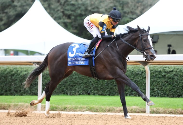 COUNTING STARS – The Fantasy Stakes G2 – Kurtis Coady – Coady Media