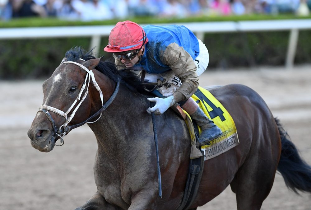 Commandment the FL Derby credit Ryan Thompson Coglianese Photo