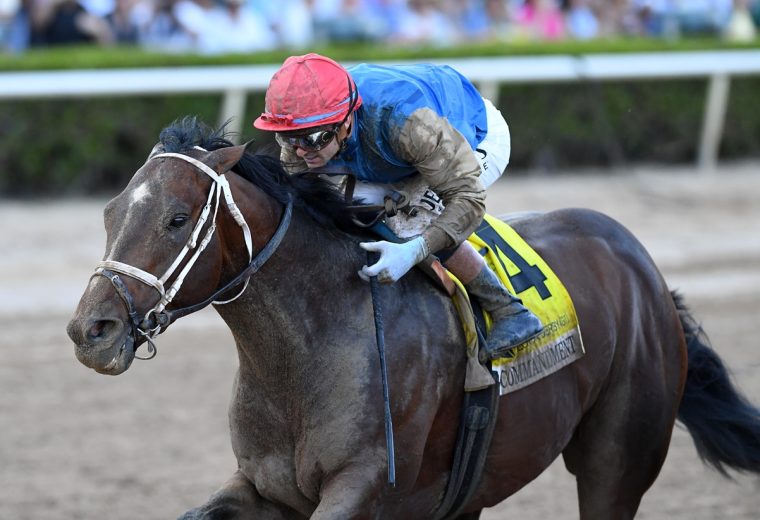 Commandment the FL Derby credit Ryan Thompson Coglianese Photo