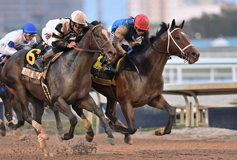 Commandment the FOY credit Lauren King / Coglianese Photo