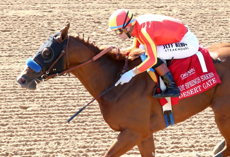 DESERT GATE - The Hot Springs Stakes - Renee Torbit - Coady Media