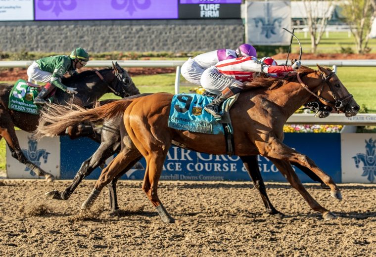 Emerging Market - Hodges Photography/Lou Hodges, Jr