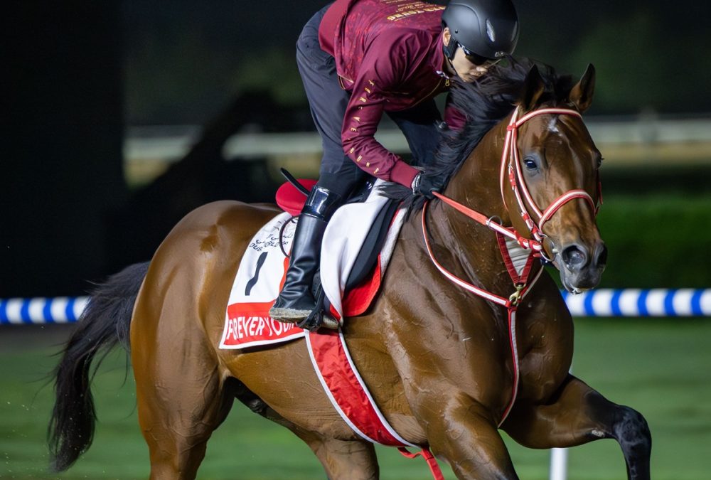 FOREVER YOUNG – Dubai Racing Club – Media