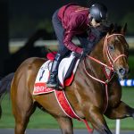 FOREVER YOUNG – Dubai Racing Club – Media