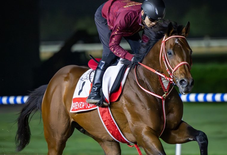 FOREVER YOUNG – Dubai Racing Club – Media