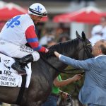 Just Basking the Very One credit Nicole Thomas / Coglianese Photo