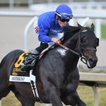 Knightsbridge the GP Mile credit Nicole Thomas / Coglianese Photo
