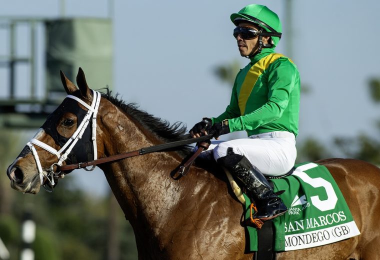 Emisael Jaramillo – Santa Anita Park, Arcadia CA. – © BENOIT PHOTO