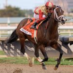 Nearly the Holy Bull credit Lauren King - Coglianese Photo