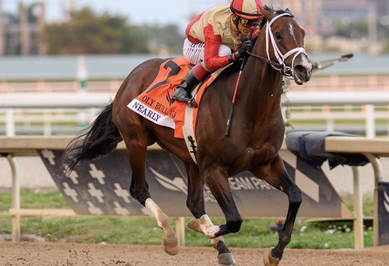 Nearly the Holy Bull credit Lauren King - Coglianese Photo