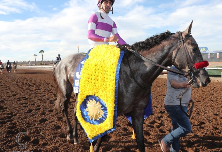 Pavlovian - Coady Media