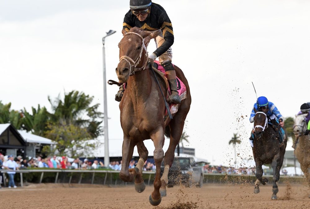 She Be Smooth the Davona Dale =- Ryan Thompson - Coglianese Photo
