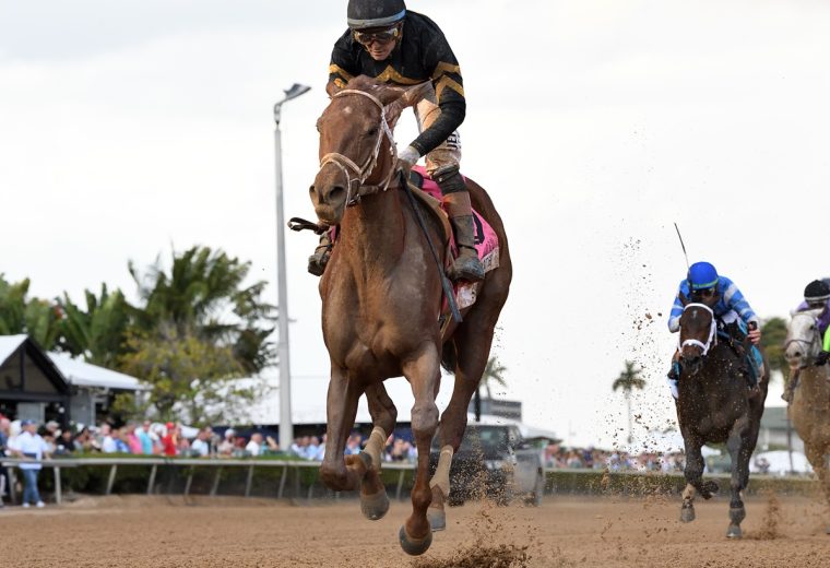 She Be Smooth the Davona Dale =- Ryan Thompson - Coglianese Photo