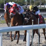 Shipmate – Texas Glitter Stakes – Gulfstream Park – Ryan Thompson – Coglianese Photo