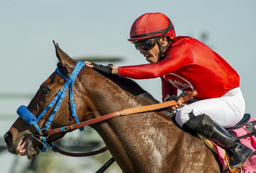 Emisael Jaramillo y Mark Glatt – Santa Ana Stakes G3 – Santa Anita Park – © BENOIT PHOTO
