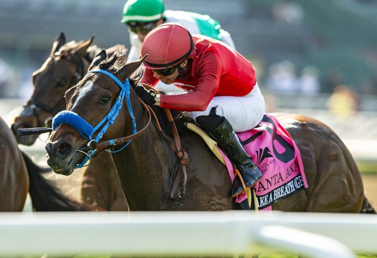 Emisael Jaramillo – Benoit Photo – California