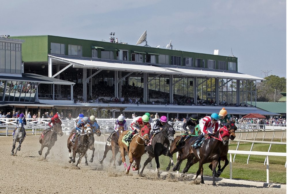Tampa Bay Downs 2026 – Tom Keyser photo – Daily Racing Form