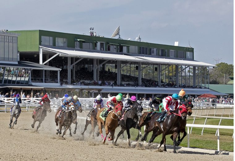 Tampa Bay Downs 2026 – Tom Keyser photo – Daily Racing Form
