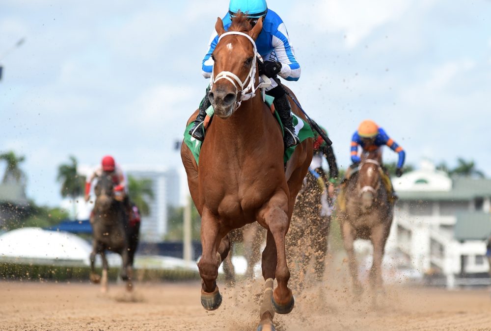 The Puma credit Ryan Thompson - Coglianese Photo