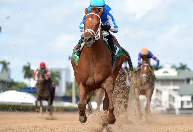 The Puma credit Ryan Thompson - Coglianese Photo