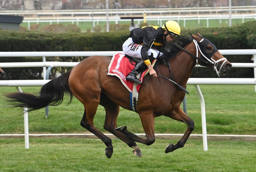 Throckmorton - Coglianese Photo