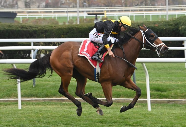 Throckmorton - Coglianese Photo