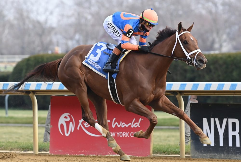 Zany - Coglianese Photo NY