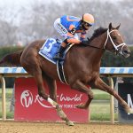 Zany - Coglianese Photo NY