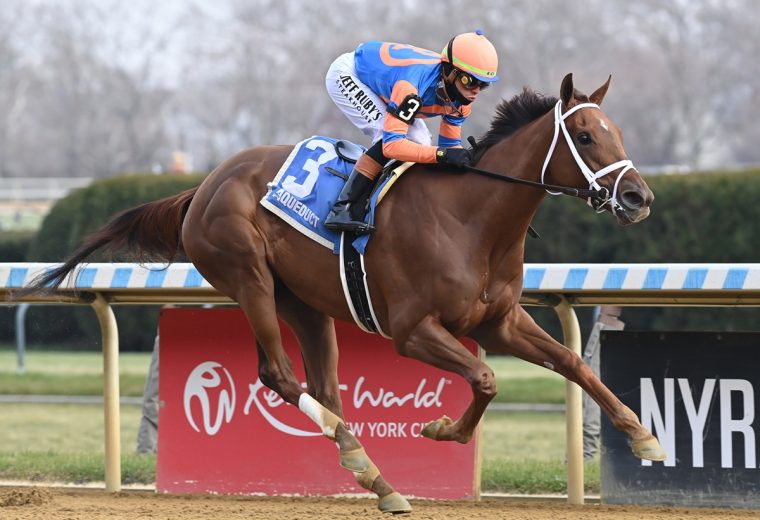 Zany - Coglianese Photo NY