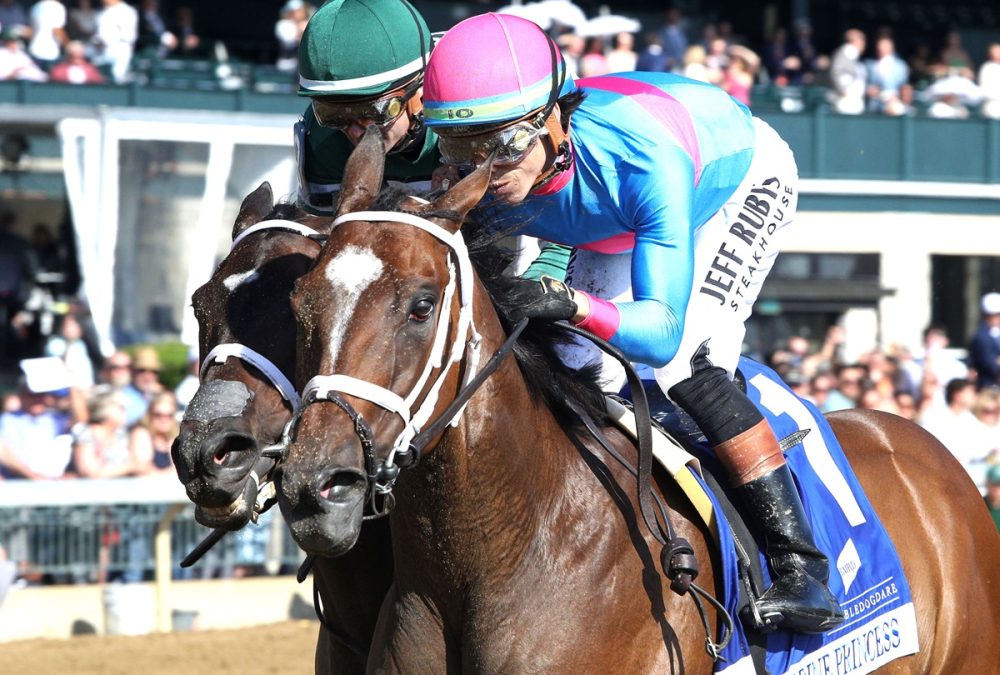 ALPINE PRINCESS - The Baird Doubledogdare G2 - John Gallagher - Coady Media