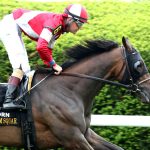 BURNHAM SQUARE – The VisitLEX Elkhorn G2 – Renee Torbit – Coady Media