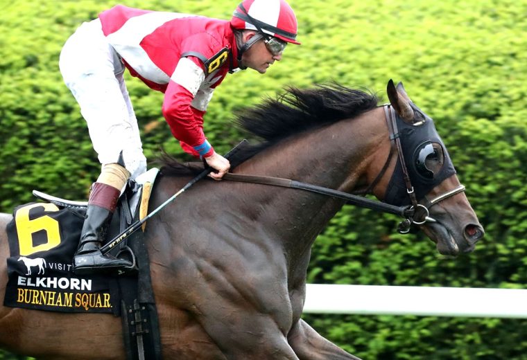 BURNHAM SQUARE – The VisitLEX Elkhorn G2 – Renee Torbit – Coady Media