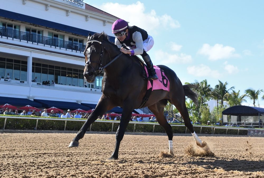 Damon’s Mound – FHBPA Sprint Stakes – Coglianese Photo / Ryan Thompson