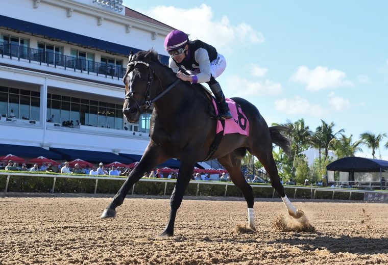 Damon’s Mound – FHBPA Sprint Stakes – Coglianese Photo / Ryan Thompson