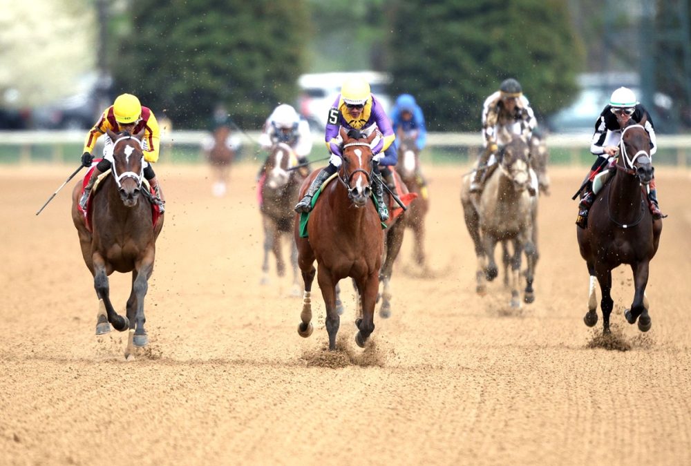 ECLATANT - Madison G1 Keeneland Race - Coady Media - Bee Buck