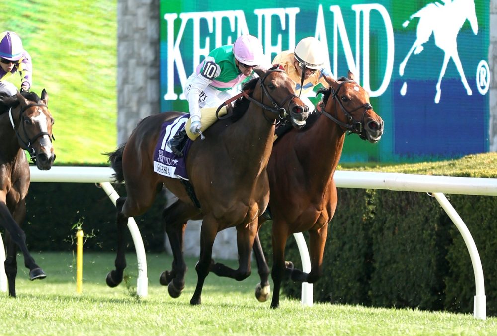 EXPENSIVE QUEEN (Outside) - Segesta (Inside) - Jenny Willey G1 - Kurtis Coady - Coady Media