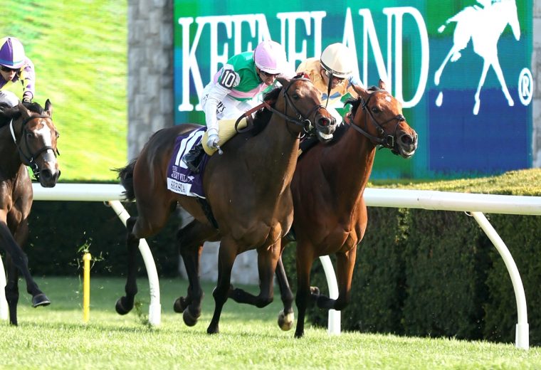 EXPENSIVE QUEEN (Outside) - Segesta (Inside) - Jenny Willey G1 - Kurtis Coady - Coady Media