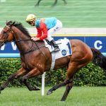 Ka Ying Rising – Foto credito: Hong Kong Jockey Club / Media